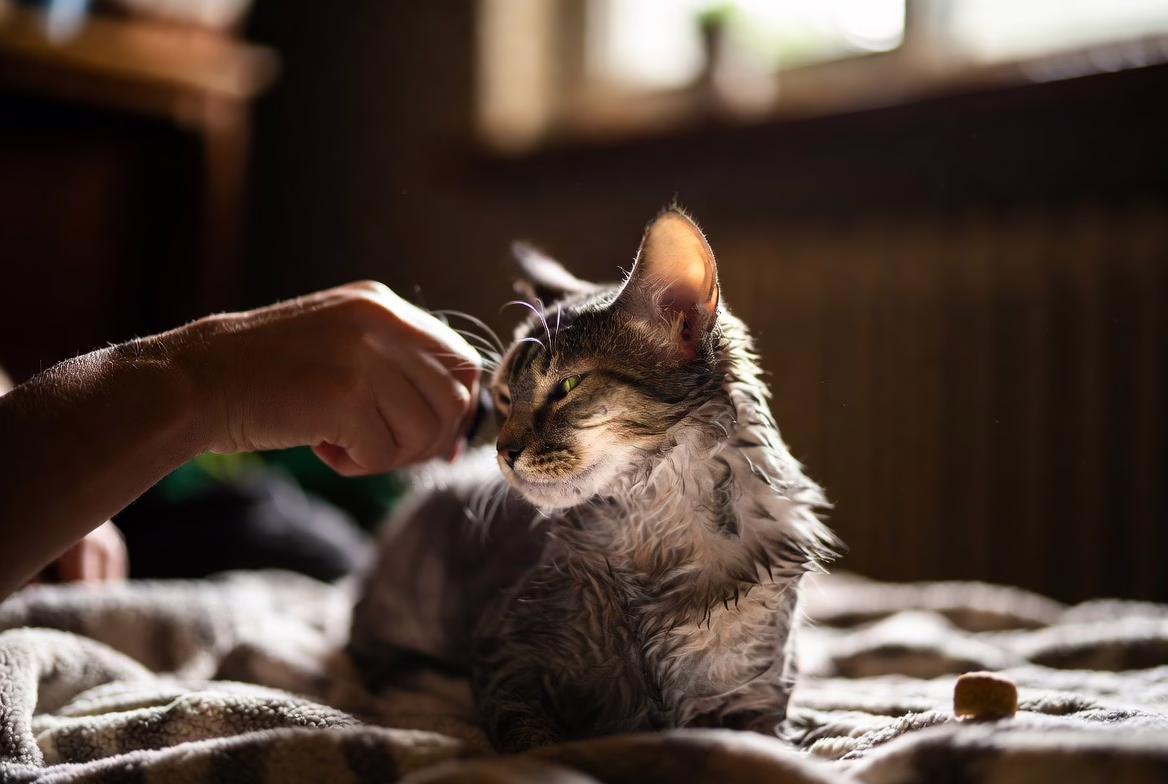 Finishing with comfort builds better future tolerance