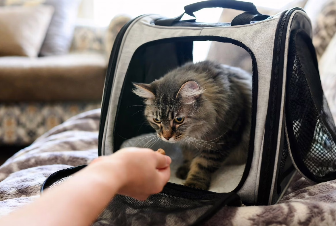 Carrier training starts long before the travel day