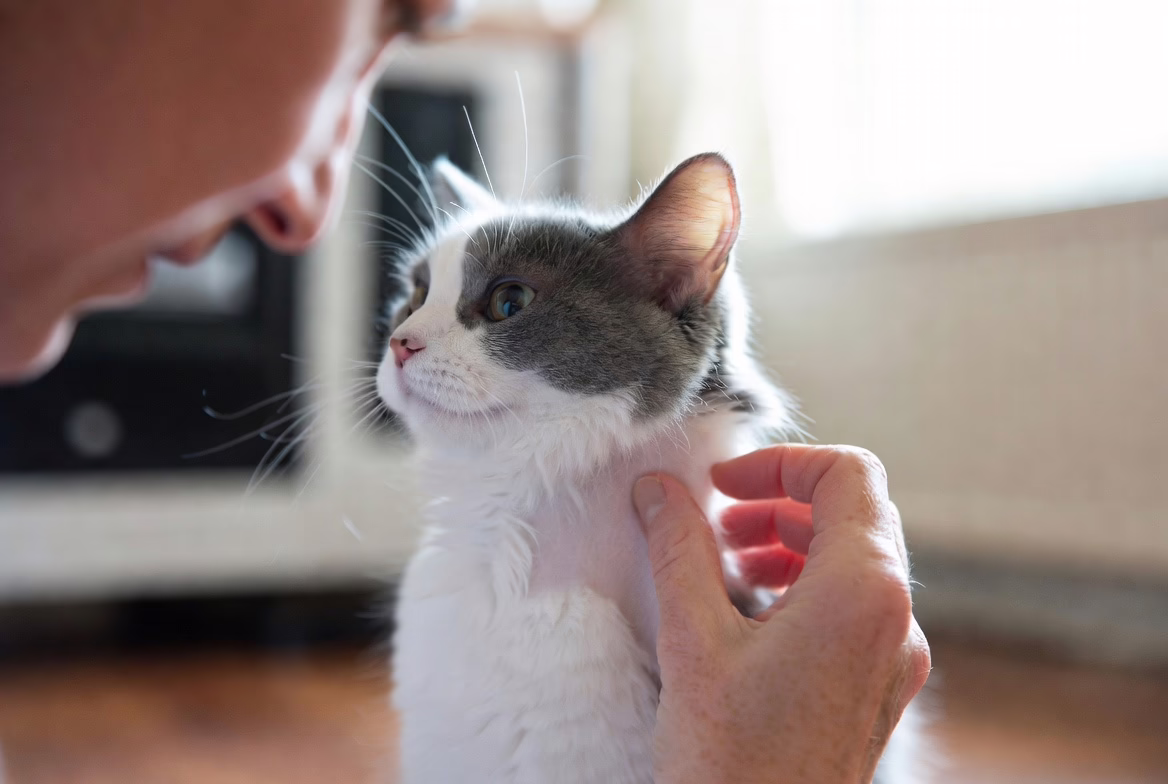 Simple at-home checks can reveal dehydration early