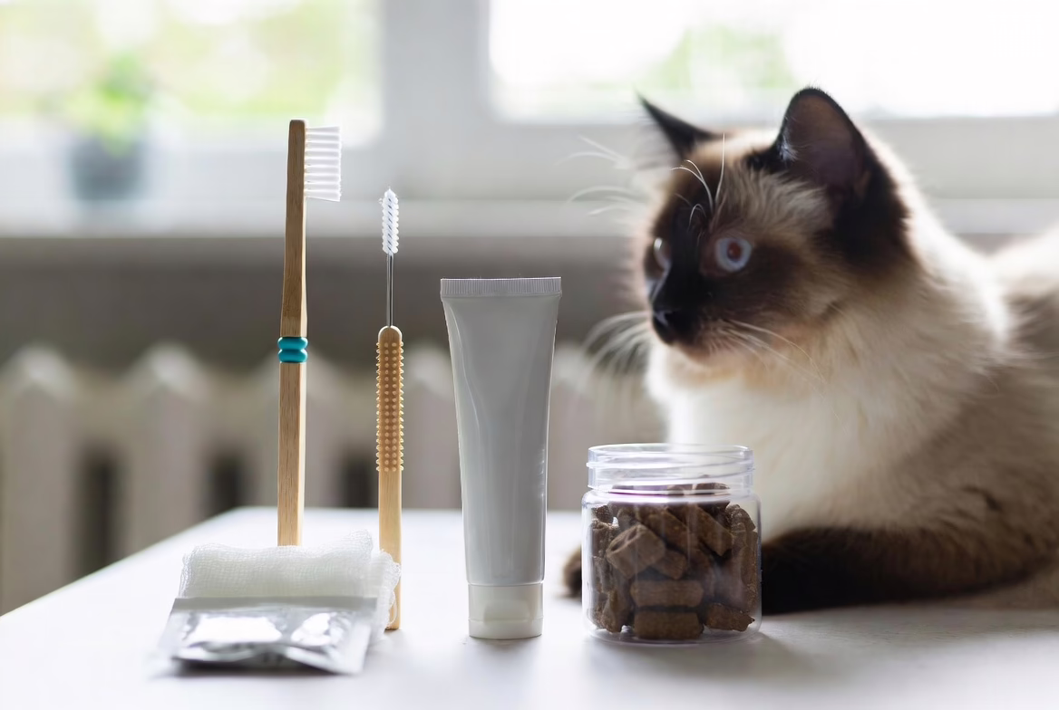 The right tools make dental care easier