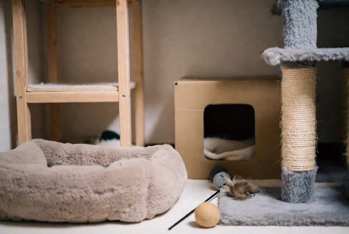 Safe space setup to reduce cat stress